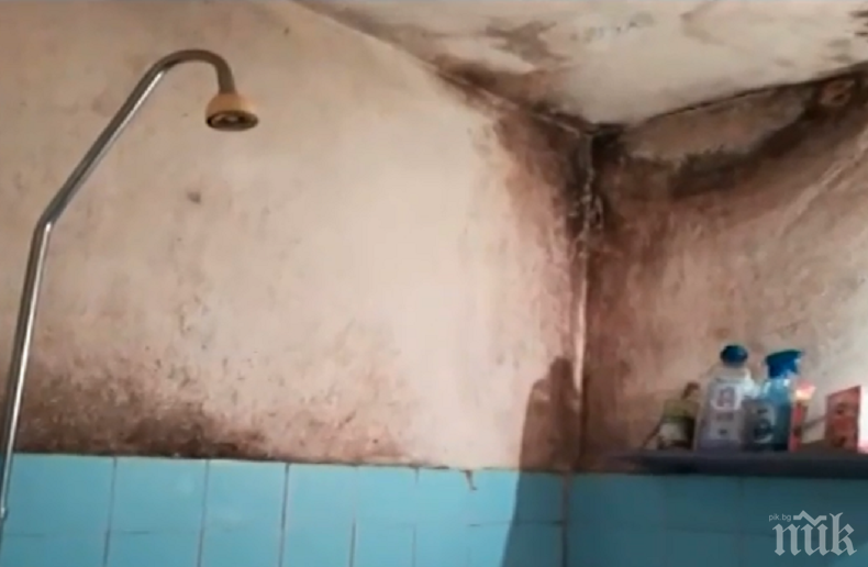 Потресаваща мизерия в студентски общежития в София - студенти сами си ремонтират стаите