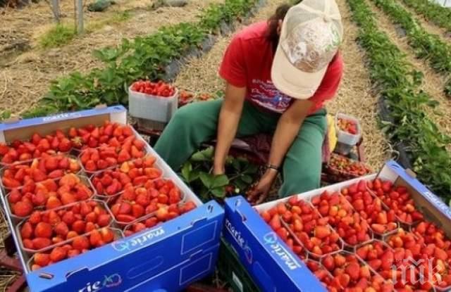 Проверяват за деца роби в Кърджали