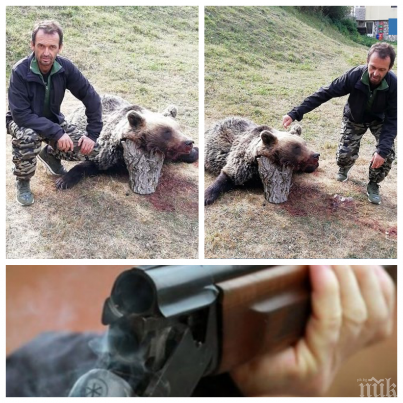 Застреляха мечка в Родопите и се снимаха с нея