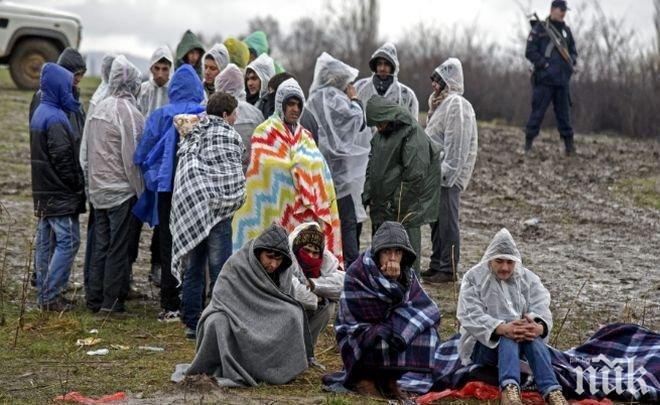 МВР В АКЦИЯ: Разбиха канал за мигранти от Гърция - задържани са организаторът и петима български граждани