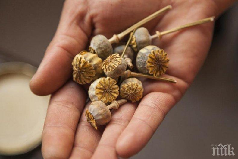 Иран залови 9 тона наркотици на път за Европа