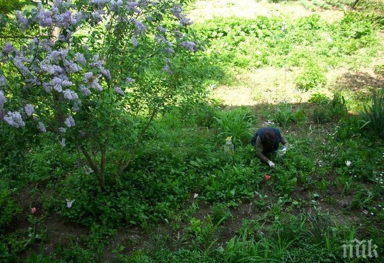 Опасна страст: Британка остана без крака и пръсти на ръцете след...