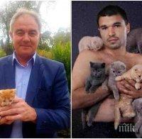 РЕЗИЛ: Кметът на ДеБъ Спартански си прави реклама с бездомни животинки - подиграват го с Божинов и малкото коте (СНИМКА)