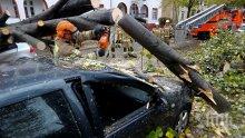 Силни бури в Европа причиниха смъртта на двама души