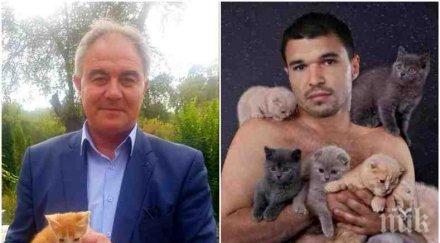резил кметът дебъ спартански прави реклама бездомни животинки подиграват божинов малкото коте снимка
