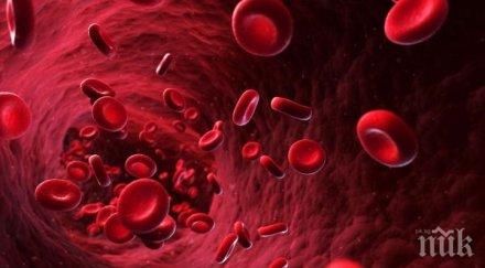 опасно киселата кръв разрушава организма каква вашата