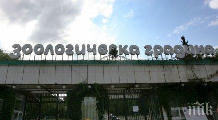 зоопарковете българия отговарят европейските стандарти