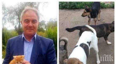 скандално лицемерие кметът дебъ спартански излъгал нагло прави приют животни 100 бона проектът провален рекламира бездомни котки