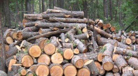 стимул каква нестандартна награда обявиха информация подпалвача котел