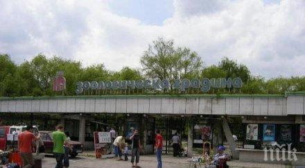 софийският зоопарк пуска безплатен вход уикенда