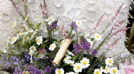 звездите говорят избягвайте общувате началници занимавайте бизнес