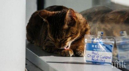 назначиха котарак завеждащ връзките клиенти гарата ливърпул