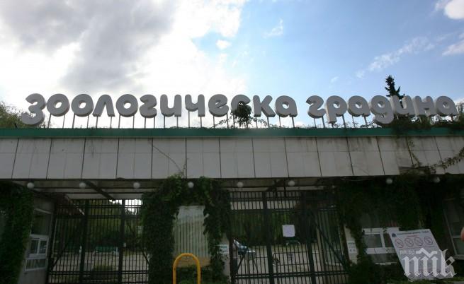 Зоопарковете в България не отговарят на европейските стандарти