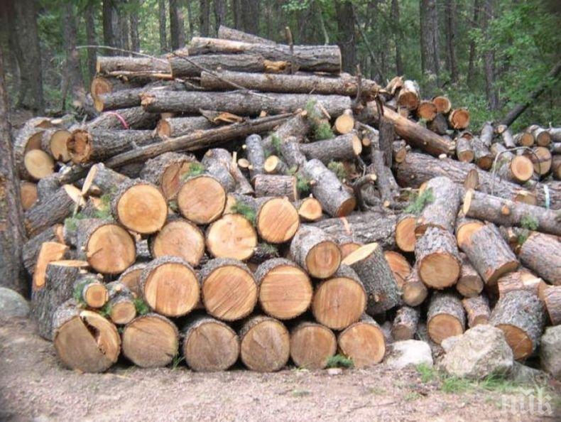 Стимул: Ето каква нестандартна награда обявиха за информация за подпалвача от Котел