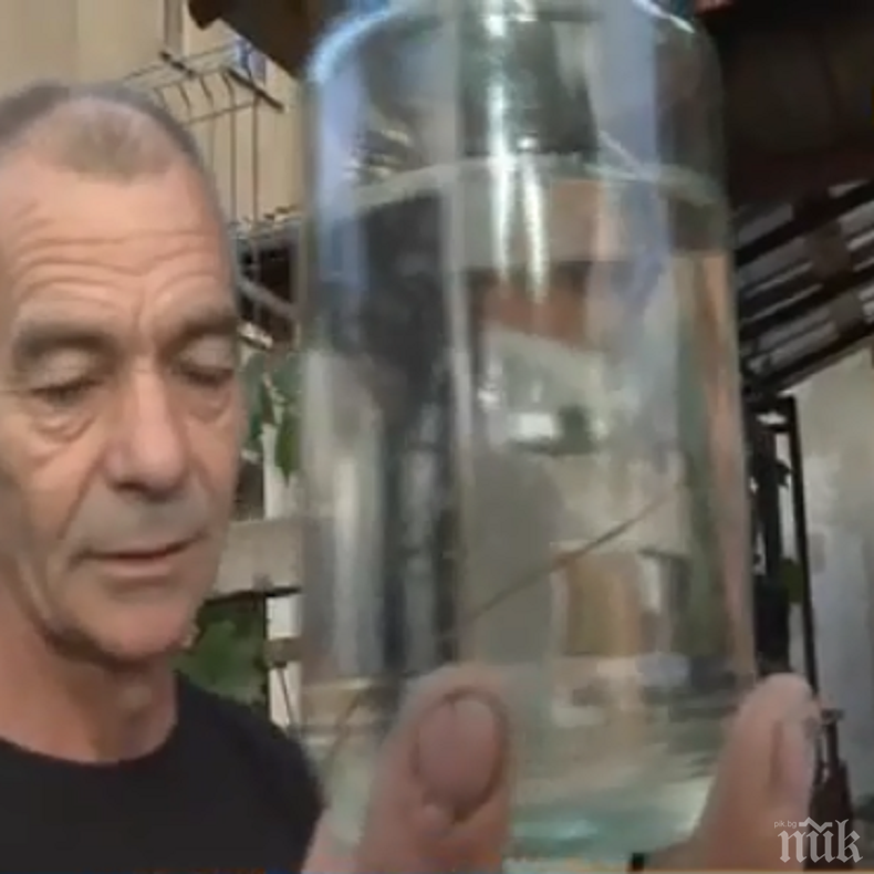 ГНУСНО: Червеи изтичат от чешмите във Враца