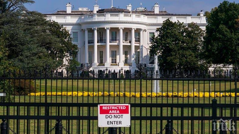 Мишки църкат в Белия дом! Гризач тупна в скута на журналист - мрежата избухна от майтапи за руския шпионин (ВИДЕО/СНИМКИ)