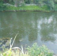 Струма потече мътно-зелена