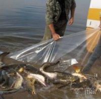 Заловиха убиеца на Гошко от Монтана да бракониерства в Огоста