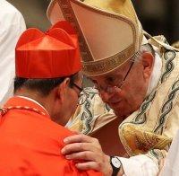 ВАТИКАНЪТ: Папата ръкоположи 13 нови кардинали