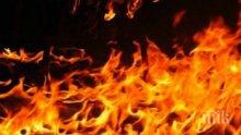 Пожар вилня на пазара в Берковица