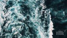 МИСТЕРИЯ: Откриха живот в непрогледните дълбини на Черно море