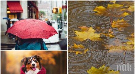 времето обърна дъжд гръмотевични бури градушки целия ден опасно температурите сринаха карти