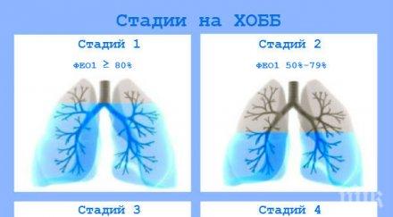 турски светила дават безплатни консултации белодробни болести софия