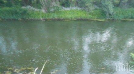 струма потече мътно зелена