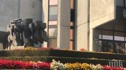 подменят цветната феерия варна есенни растения