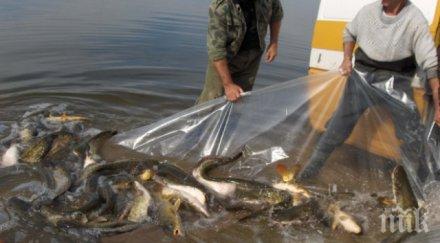 заловиха убиеца гошко монтана бракониерства огоста