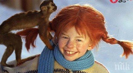 рижата коса хит есен вижте грижите нея