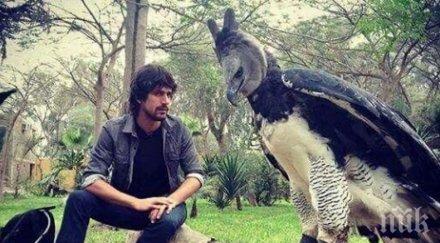 шок мъж хвърли ужас социалните мрежи снима голямата месоядна птица света