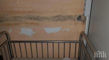 мухъл пълна мизерия детското отделение севлиевската болница