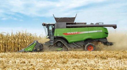 шумен прибраха царевицата