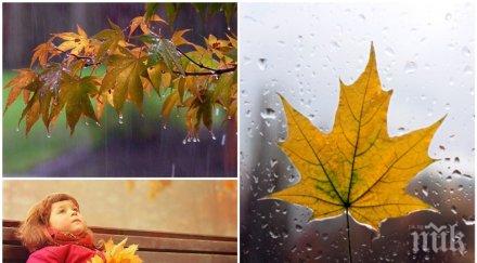 студът превзема облачна събота вятър дъжд вали силно карта