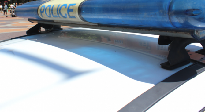 Две кражби и незаконна сеч на дървесина разкрити при полицейска акция в Павликенско