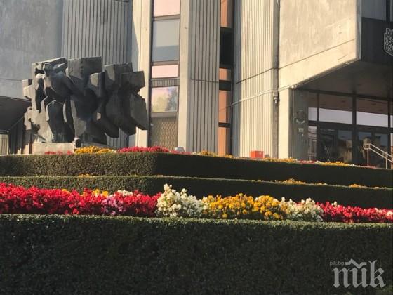 Подменят цветната феерия във Варна с есенни растения