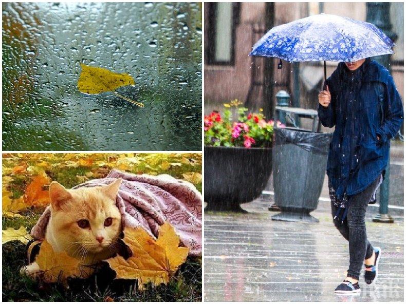 СВЪРШИ ХУБАВОТО ВРЕМЕ: Вадете чадърите, студът нахлува с дъжд и вятър (КАРТА) 