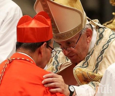 ВАТИКАНЪТ: Папата ръкоположи 13 нови кардинали