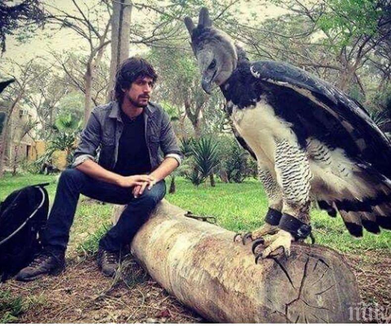 ШОК: Мъж хвърли в ужас социалните мрежи, снима се с най-голямата месоядна птица в света