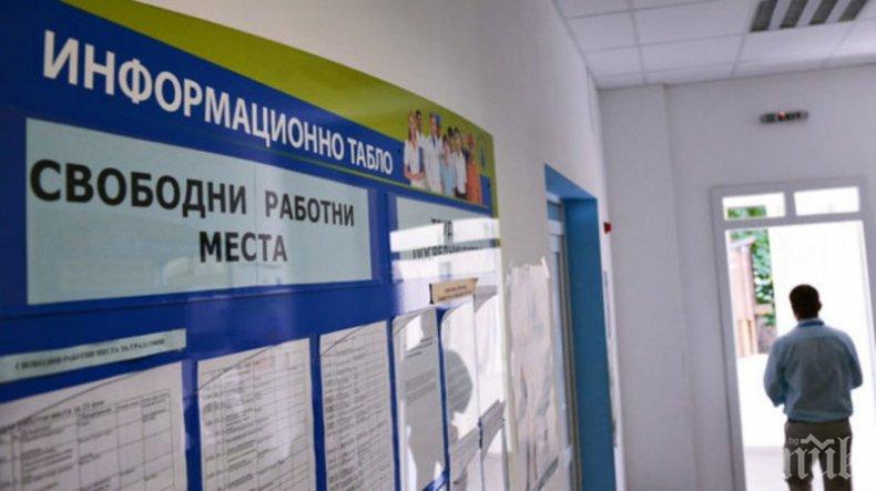 Трудови борси помагат на безработни във Велинград