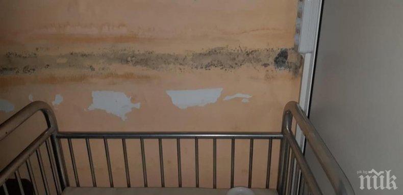 Мухъл и пълна мизерия в детското отделение на севлиевската болница