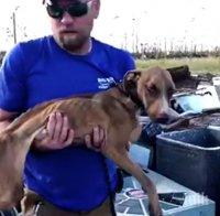ЧУДО: Куче оцеля месец под срутена сграда след урагана Дориан