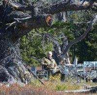 Путин събира гъби в сибирската тайга (ВИДЕО)