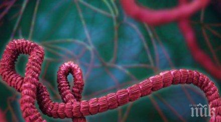 болница южна швеция проверява случай ебола