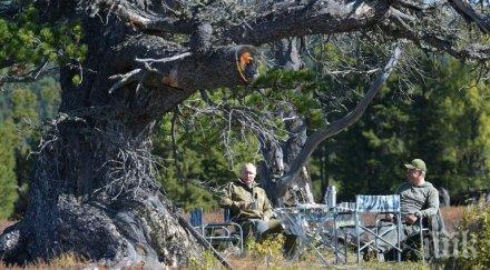 путин събира гъби сибирската тайга видео