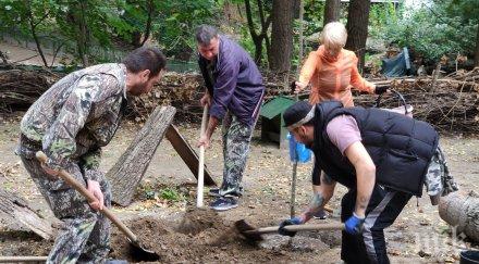 доброволци обновяват зоопарка варна снимки