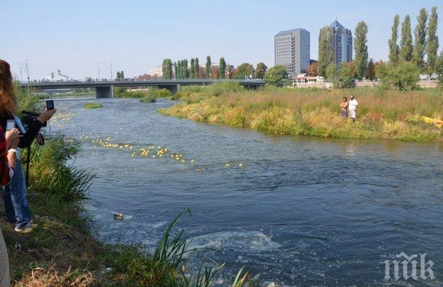 Дават почти 5 милиона лева за почистване на река Марица в Пловдив