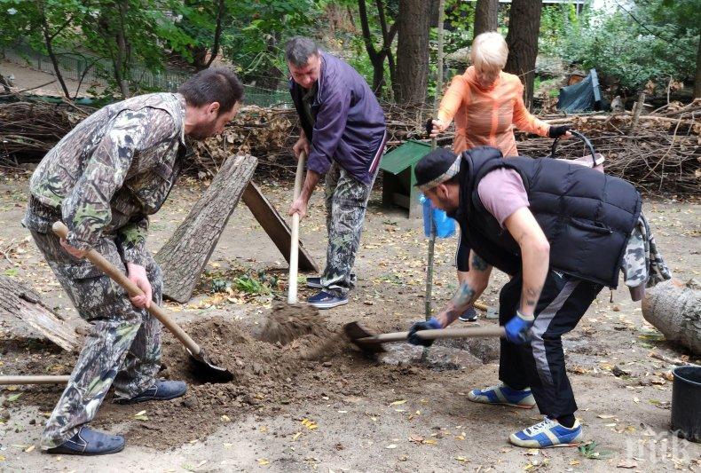 Доброволци обновяват зоопарка във Варна (СНИМКИ)