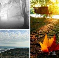 ШАРЕН НОЕМВРИ! В Западна България - дъжд, на Черноморието - слънце. Температурите ще се вдигнат до 11 градуса